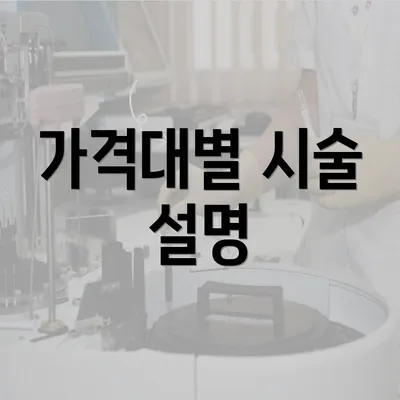 가격대별 시술 설명