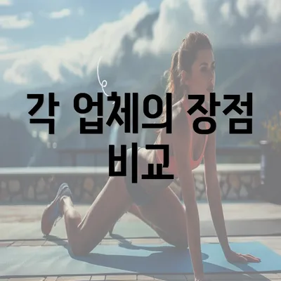 각 업체의 장점 비교