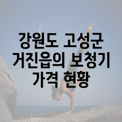 강원도 고성군 거진읍의 보청기 가격 현황