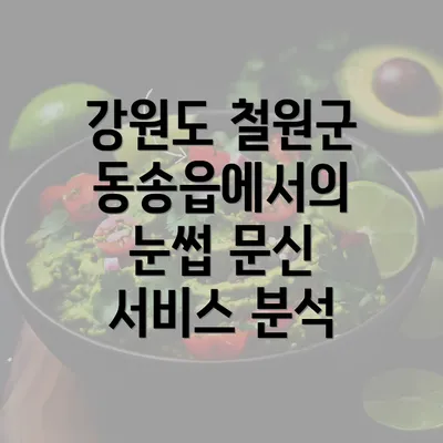 강원도 철원군 동송읍에서의 눈썹 문신 서비스 분석