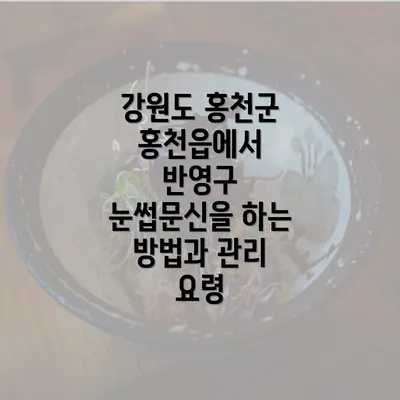 강원도 홍천군 홍천읍에서 반영구 눈썹문신을 하는 방법과 관리 요령