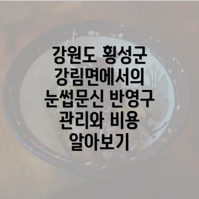 강원도 횡성군 강림면에서의 눈썹문신 반영구 관리와 비용 알아보기