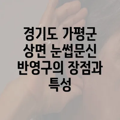 경기도 가평군 상면 눈썹문신 반영구의 장점과 특성