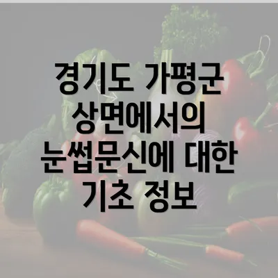 경기도 가평군 상면에서의 눈썹문신에 대한 기초 정보