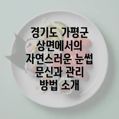 경기도 가평군 상면에서의 자연스러운 눈썹 문신과 관리 방법 소개