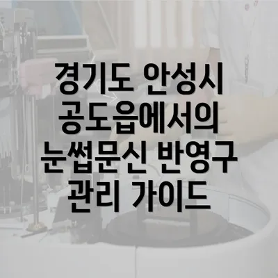 경기도 안성시 공도읍에서의 눈썹문신 반영구 관리 가이드