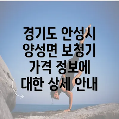 경기도 안성시 양성면 보청기 가격 정보에 대한 상세 안내