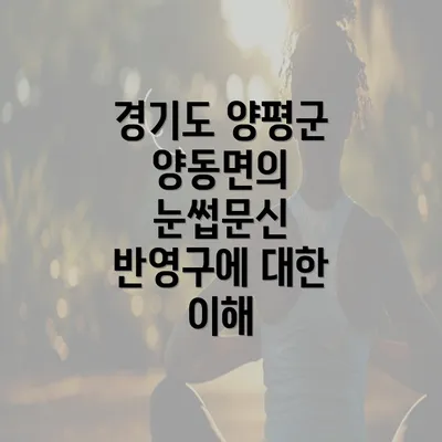 경기도 양평군 양동면의 눈썹문신 반영구에 대한 이해