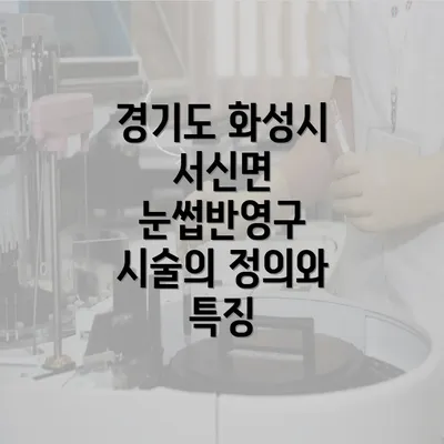 경기도 화성시 서신면 눈썹반영구 시술의 정의와 특징