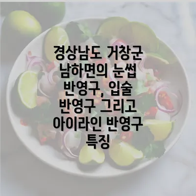 경상남도 거창군 남하면의 눈썹 반영구, 입술 반영구 그리고 아이라인 반영구 특징