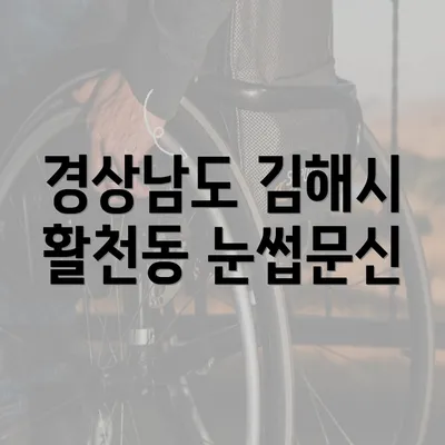 경상남도 김해시 활천동 눈썹문신