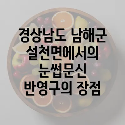 경상남도 남해군 설천면에서의 눈썹문신 반영구의 장점