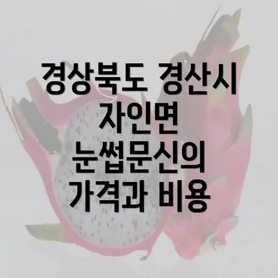 경상북도 경산시 자인면 눈썹문신 반영구의 모든 것: 가격