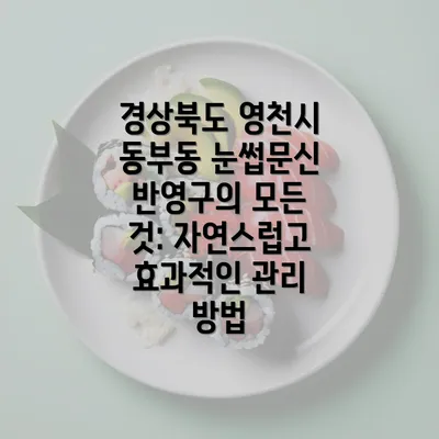 경상북도 영천시 동부동 눈썹문신 반영구의 모든 것: 자연스럽고 효과적인 관리 방법