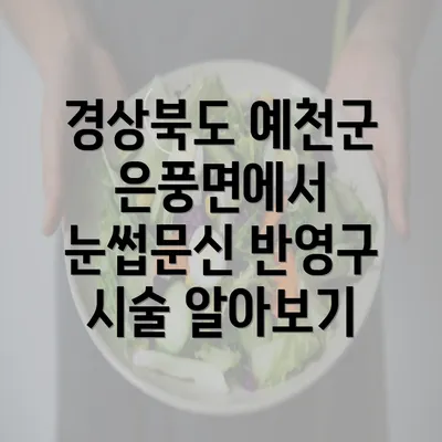 경상북도 예천군 은풍면에서 눈썹문신 반영구 시술 알아보기