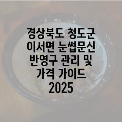 경상북도 청도군 이서면 눈썹문신 반영구 관리 및 가격 가이드 2025