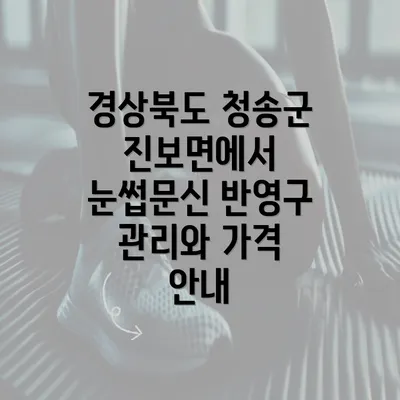 경상북도 청송군 진보면에서 눈썹문신 반영구 관리와 가격 안내