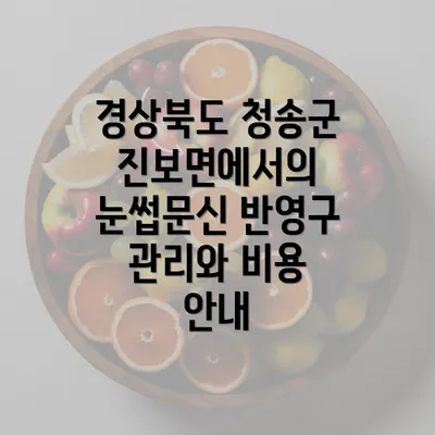 경상북도 청송군 진보면에서의 눈썹문신 반영구 관리와 비용 안내