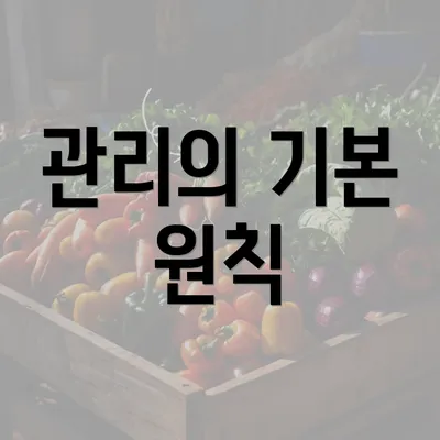 관리의 기본 원칙