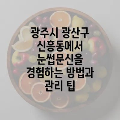 광주시 광산구 신흥동에서 눈썹문신을 경험하는 방법과 관리 팁