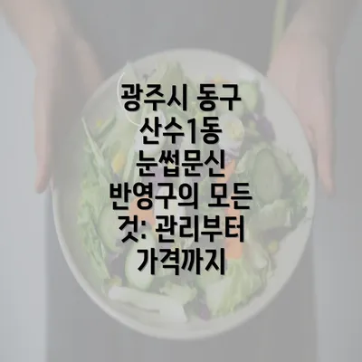 광주시 동구 산수1동 눈썹문신 반영구의 모든 것: 관리부터 가격까지