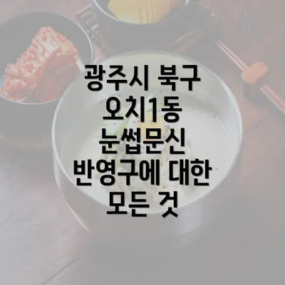 광주시 북구 오치1동 눈썹문신 반영구에 대한 모든 것