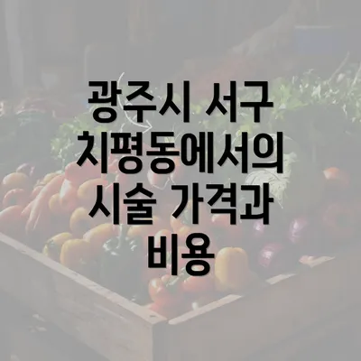 광주시 서구 치평동에서의 시술 가격과 비용