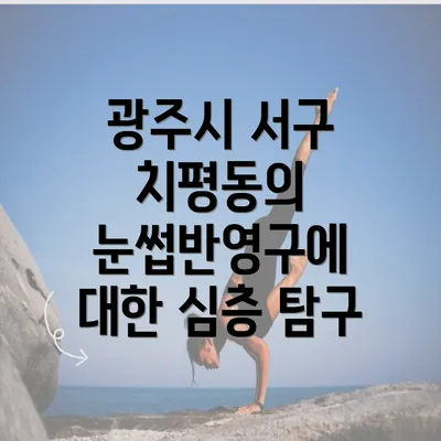 광주시 서구 치평동의 눈썹반영구에 대한 심층 탐구