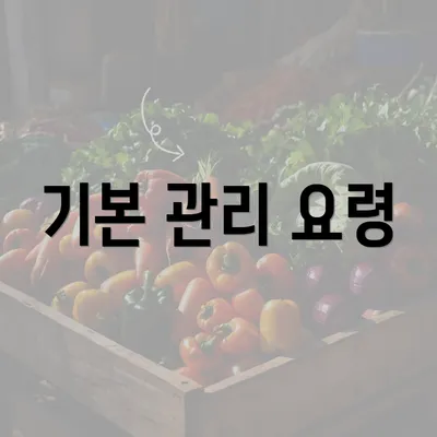 기본 관리 요령