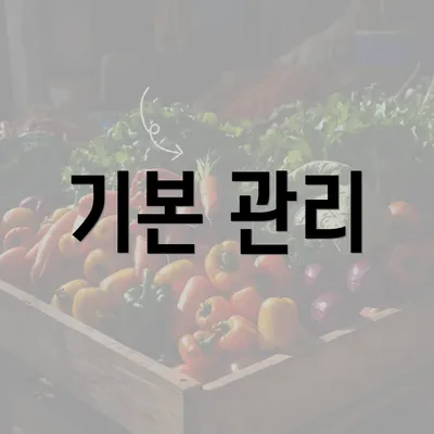 기본 관리