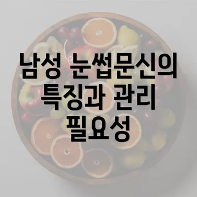 남성 눈썹문신의 특징과 관리 필요성