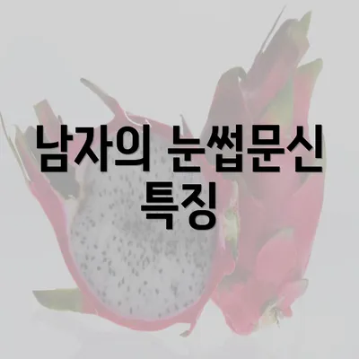 남자의 눈썹문신 특징