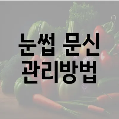 눈썹 문신 관리방법