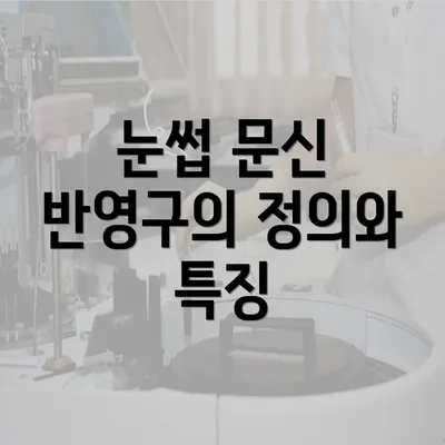 눈썹 문신 반영구의 정의와 특징