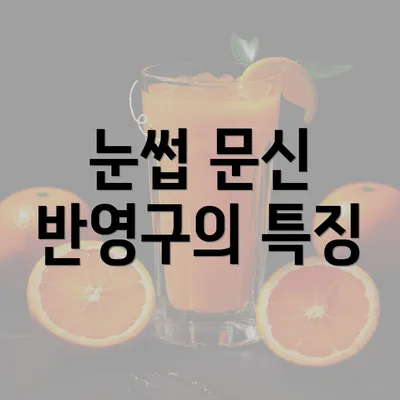 눈썹 문신 반영구의 특징