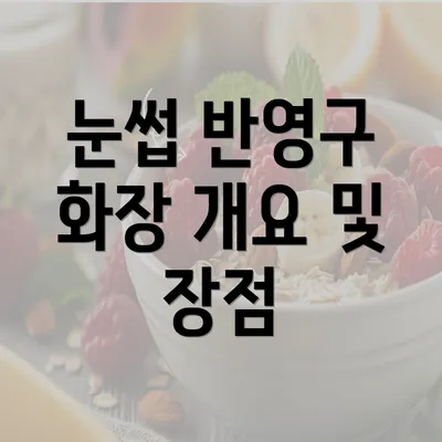 눈썹 반영구 화장 개요 및 장점