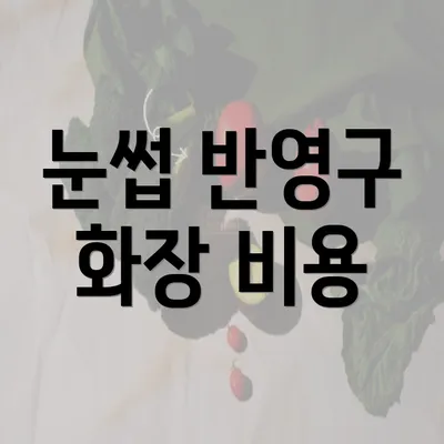 눈썹 반영구 화장 비용