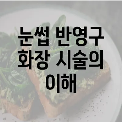 눈썹 반영구 화장 시술의 이해