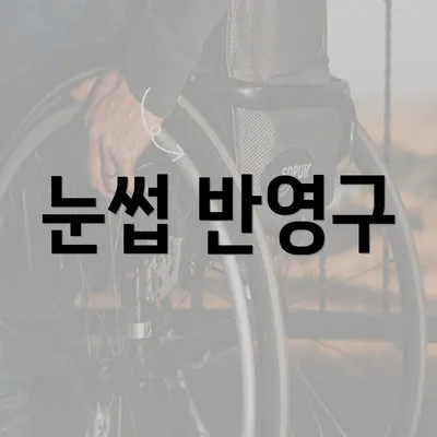 눈썹 반영구