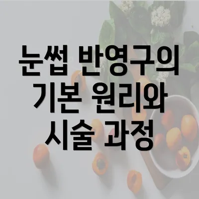 눈썹 반영구의 기본 원리와 시술 과정