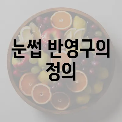 눈썹 반영구의 정의