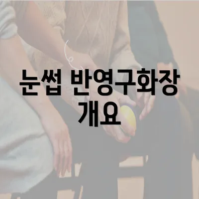 눈썹 반영구화장 개요