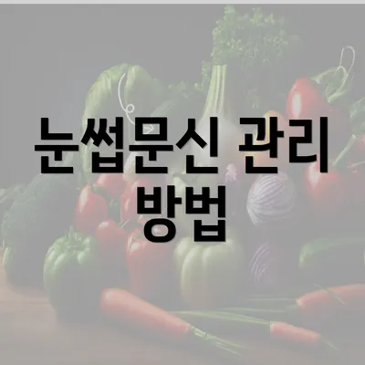 눈썹문신 관리 방법