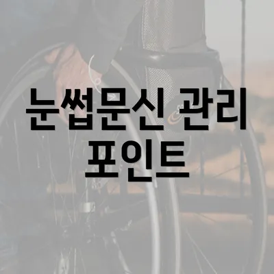 눈썹문신 관리 포인트