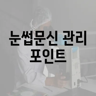 눈썹문신 관리 포인트