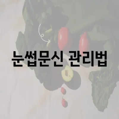 눈썹문신 관리법