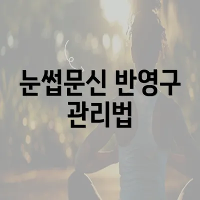 눈썹문신 반영구 관리법