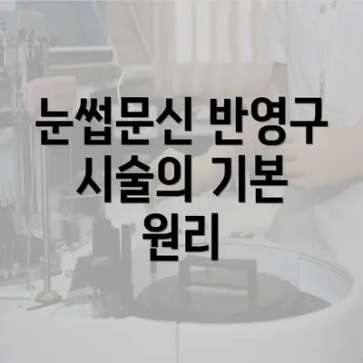 눈썹문신 반영구 시술의 기본 원리