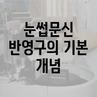 눈썹문신 반영구의 기본 개념