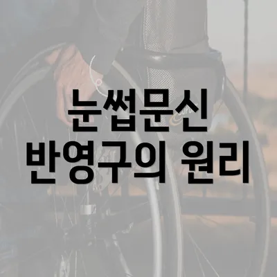 눈썹문신 반영구의 원리